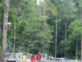 Tn PPTC 084